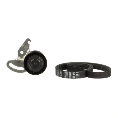 Abbildung von GATES K025PK1133 Keilrippenriemensatz ThermalPro RENAULT: CLIO 3, MEGANE 2, NISSAN: MICRA 3