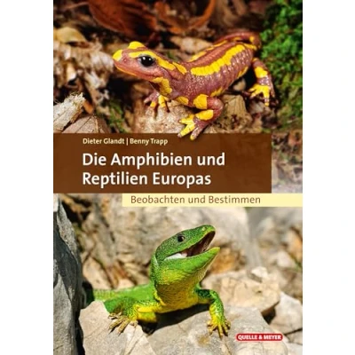 Abbildung von Die Amphibien und Reptilien Europas: Beobachten Bestimmen (Quelle &amp; Meyer Bestimmungsbücher)