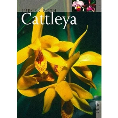 Abbildung von Cattleya: Unter Mitarb. v. Bärbel Röth