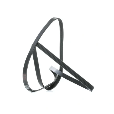 Abbildung von FEBI BILSTEIN 28888 Keilrippenriemen 2025 5 EPDM (Ethylen Propylen Dien Kautschuk) BMW: 3 Saloon, Touring, Saloon