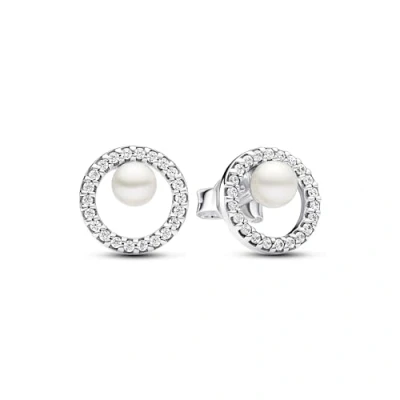 Abbildung von Pandora Timeless Damen Ohrknöpfe Silber 293154C01