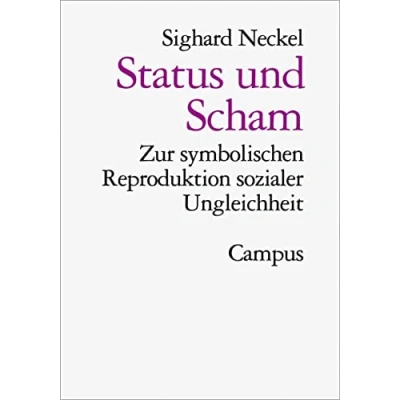Abbildung von Status und Scham. Zur symbolischen Reproduktion sozialer Ungleichheit