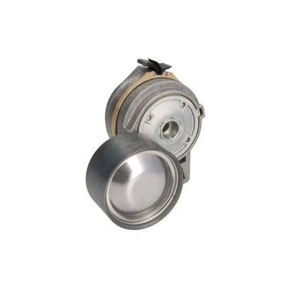 Abbildung von DAYCO APV1094 Riemenspanner