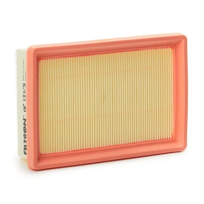 Abbildung von FILTRON AP 133/9 Luftfilter 50 140 206 Filtereinsatz DACIA: Sandero III