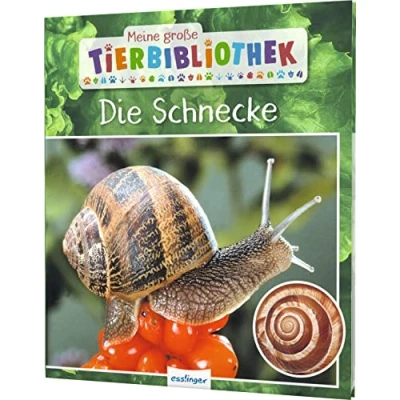Abbildung von Meine große Tierbibliothek: Die Schnecke: Sachbuch für Vorschule &amp; Grundschule