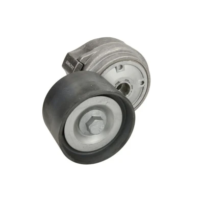 Abbildung von DAYCO APV1093 Riemenspanner