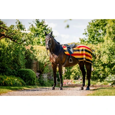 Abbildung von Horseware Newmarket Exercise Sheet