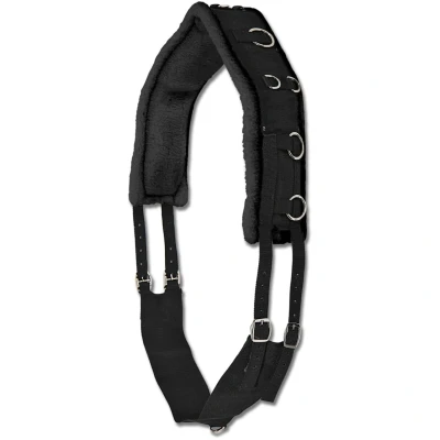 Abbildung von Waldhausen Longiergurt Perlon mit Ringen Warmblut