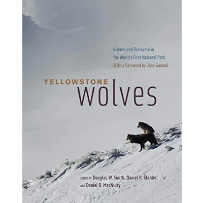 Abbildung von Yellowstone Wolves: Science and Discovery in the World&#039;s First National Park