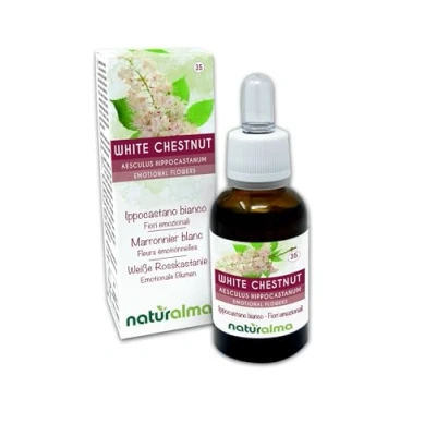 Abbildung von White chestnut oder Weiße Rosskastanie (Aesculus hippocastanum) Bach Blüten Naturalma Tropfen 30 ml Alkoholfreier Flüssigextrakt Blütenessenzen Vegan und alkoholfrei