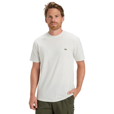 Abbildung von Quiksilver T Shirt »Mw Neps«