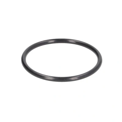 Abbildung von TOPRAN 117 329 Dichtung, Thermostat VOLKSWAGEN: Golf 7