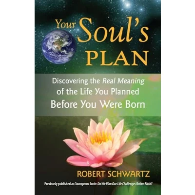 Abbildung von Your Soul&#039;s Plan: Discovering the Real Meaning of Life You Planned Before Were Born