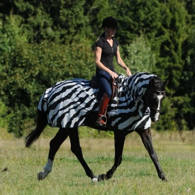 Abbildung von Bucas Fliegendecke Buzz Off Riding Zebra 135/183