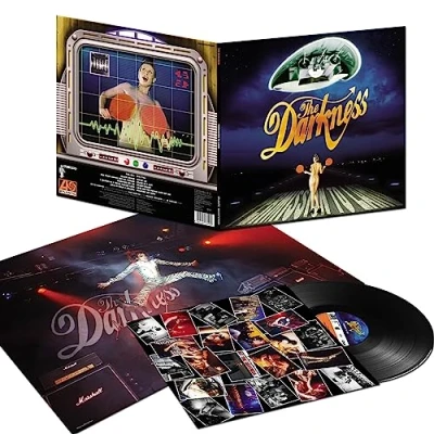 Abbildung von Permission To Land [Vinyl LP]