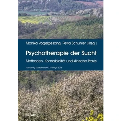 Abbildung von Psychotherapie der Sucht: Methoden, Komorbidität und klinische Praxis