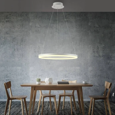 Abbildung von Paul Neuhaus Pendelleuchte »TITUS«, 1 flammig, Leuchtmittel LED Board fest integriert, LED, dimmbar, Simply Dim, Memory, nach Trennung vom Netz