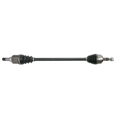 Abbildung von Antriebswelle PASCAL G2E010PC