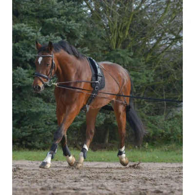 Abbildung von Waldhausen Longiersystem Schwarz Pony/Vollblut