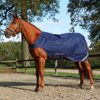 Abbildung von Bucas Walker Navy/Orange 135/183