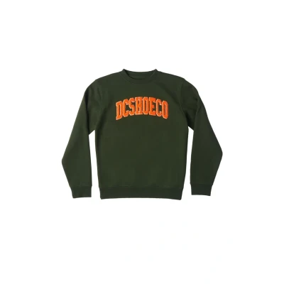 Abbildung von DC Shoes Varsity Sweatshirt für Kinder, Größe: 176, Gzh0 mountain view