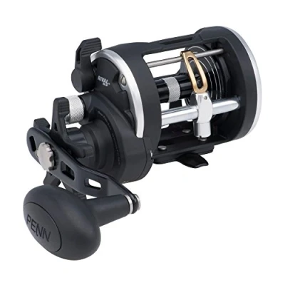 Abbildung von Penn Rival Level Wind 30LWLH Multirolle