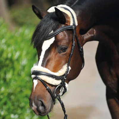 Abbildung von Kavalkade Trense Ivy Lammfell Braun Warmblut Agradi.deVerkauft von Agradi