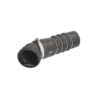 Abbildung von THERMOTEC DCB039TT Ladeluftschlauch BMW: 5 Touring, Saloon