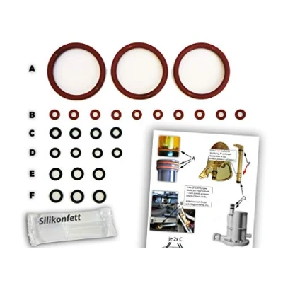 Abbildung von Dichtungen/Wartungsset (XL) für DeLonghi ESAM Thermoblock &amp; Brüheinheit O Ringe TOP Qualität mit Online Video