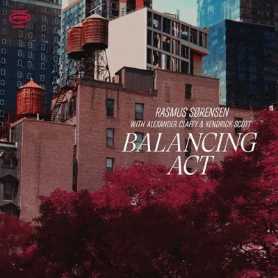 Abbildung von Balancing Act [Vinyl LP]
