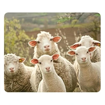 Abbildung von Edition Colibri Mousepad/Mauspad: Lustige Schafe, Tiere, Qualitäts Mauspad 23 x 19 cm aus extrem reissfestem Spezialkautschuk mit stark haftender Unterseite für optimalen Halt (Motiv 90)
