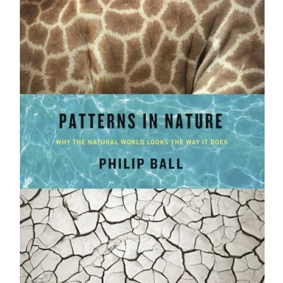 Abbildung von Patterns in Nature: Why the Natural World Looks Way It Does