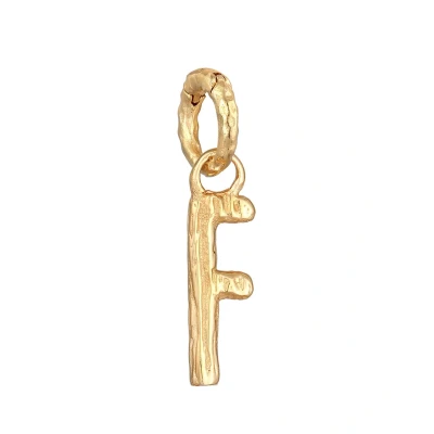 Abbildung von Elli Organic Letter F Anhänger goldcoloured, Damen, Größe: One Size, Gold coloured