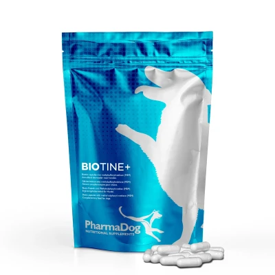 Abbildung von Biotin+ Hund 90 Tablets