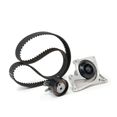 Abbildung von FEBI BILSTEIN 173163 Wasserpumpe + Zahnriemensatz mit 123 RENAULT: CLIO 3, MEGANE 3 Grandtour, DACIA: Duster Off Road, Sandero I