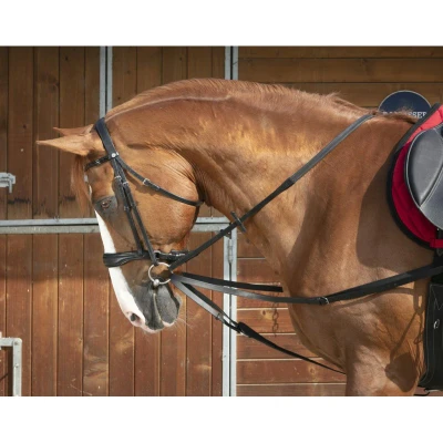 Abbildung von Norton Ausbindezügel Club Vienna Schwarz Warmblut