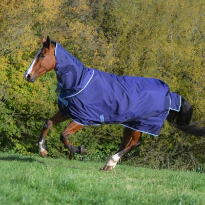 Abbildung von Bucas Atlantic Exclusive mit Halsteil Navy/Blau 165/213 Agradi.deVerkauft von Agradi