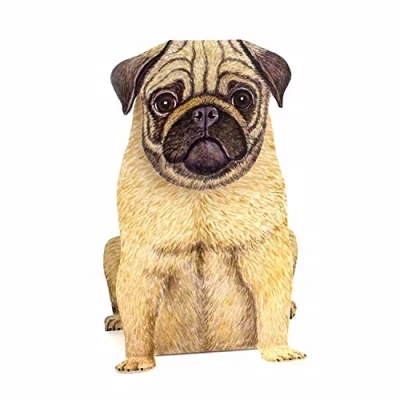 Abbildung von &quot;SÜSSER MOPS&quot; 3 D Pop Up Karte mit einem lustigen Mops ideal als Glückwunschkarte/Geburtstagskarte für Freunde