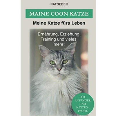 Abbildung von Maine Coon: Coon Katze Ratgeber Erziehung, Ernährung und Pflege (Katzenrassen)