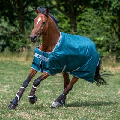 Abbildung von Bucas Atlantik Weiche 400 Gramm / Grün Unterlänge: 213 cm &amp; Rückenlänge: 165