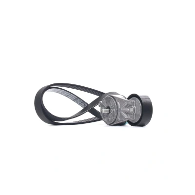 Abbildung von DAYCO KPV384 Keilrippenriemensatz FIAT: Punto II Hatchback, 500 BRAVO 2, FORD: KA Hatchback