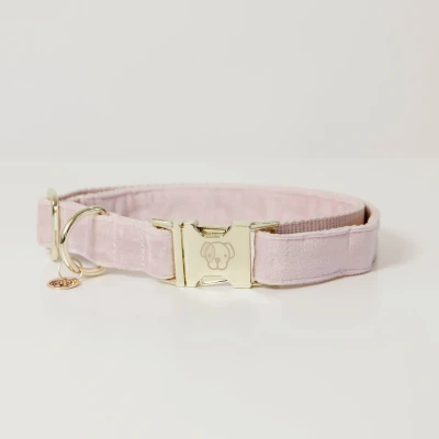 Abbildung von Kentucky Kragen Velvet Soft Rose M