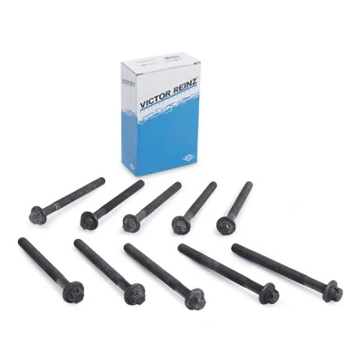 Abbildung von REINZ 14 32231 01 Zylinderkopfschraubensatz Außen Torx RENAULT: ESPACE 3, TRAFIC 2 Kasten, 4, OPEL: Vivaro A Van