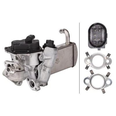 Abbildung von HELLA 6NU 358 167 051 AGR Modul mit Dichtungen, Kühler Ventil VOLKSWAGEN: Amarok Pickup