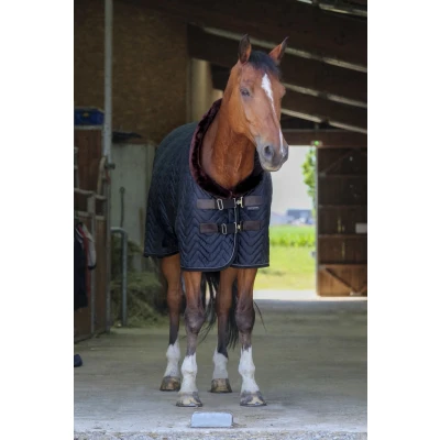 Abbildung von EQUITHÈME Stalldecke Velvet Teddy Schwarz 150/198