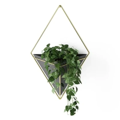 Abbildung von Umbra Trigg Wandvase &amp; Geometrische Deko Übertopf Für Zimmerpflanzen, Sukkulenten, Luftpflanzen, Kakteen, Kunstpflanzen und Mehr, Schwarz/Messing, Gross