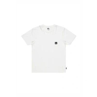 Abbildung von Quiksilver SALT Water Tshirt basic, Herren, Größe: Small, Wbk