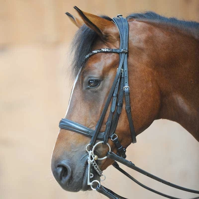 Abbildung von Kavalkade Trense Ivonne Schwarz Pony