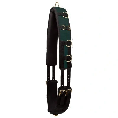 Abbildung von Imperial Riding Longiergurt Deluxe Nylon Forest Green Full