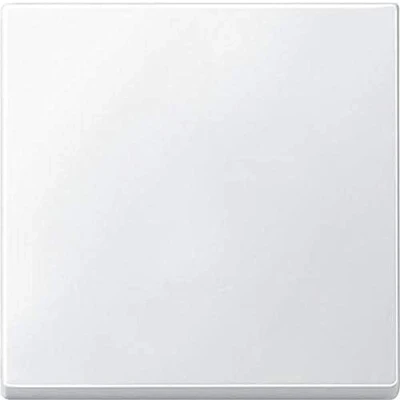 Abbildung von Schneider Electric Merten 434119 Wippe für Schalter, polarweiß, System M